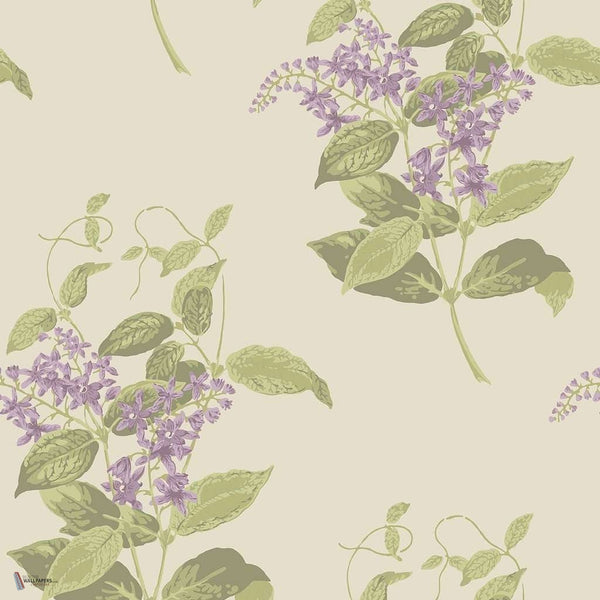 Madras Violet wallpaper in Purple & Olive van Cole & Son