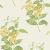 Madras Violet wallpaper in Yellow & Linen van Cole & Son