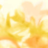 Maravillas wallpaper in Golden by Coordonne