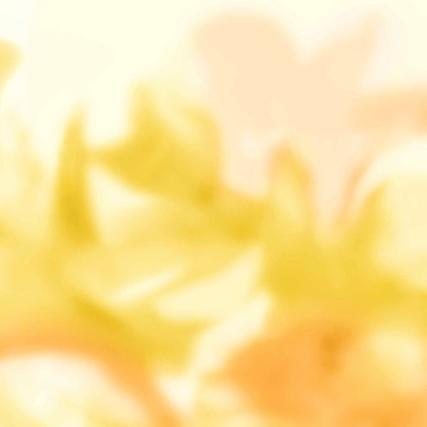 Maravillas wallpaper in Golden by Coordonne