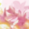 Maravillas wallpaper in Pink by Coordonne