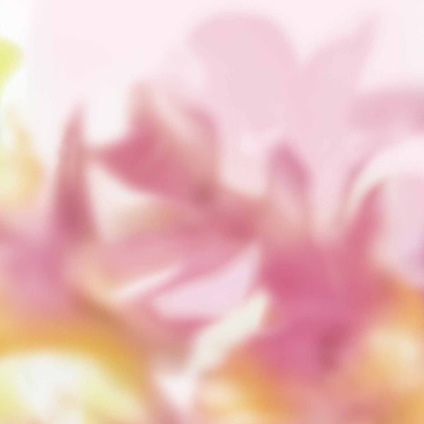 Maravillas wallpaper in Pink by Coordonne
