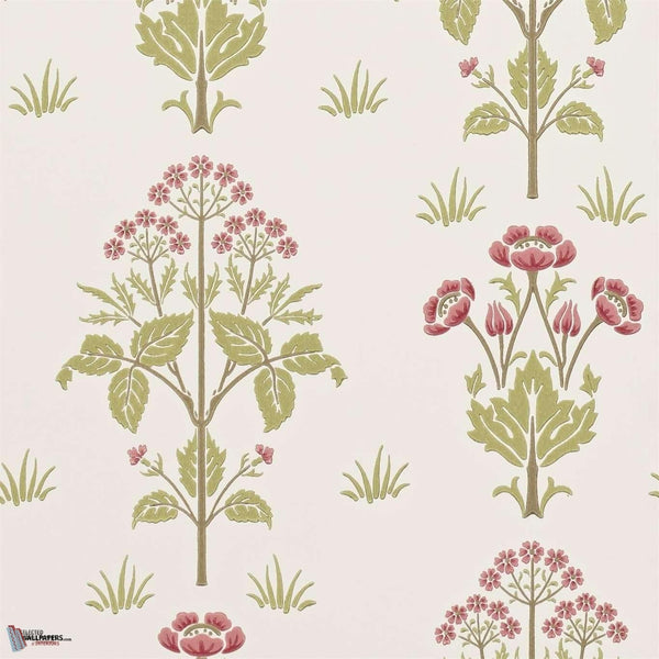 Meadow Sweet wallpaper in Rose/Olive van Morris & Co