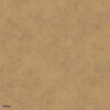 Melvin Tapete-Vescom-8-Meter (M1)-Selected Wallpapers & Interiors