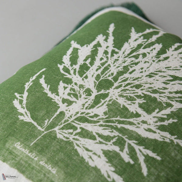 Algae I cojín de Mind the Gap — detalle