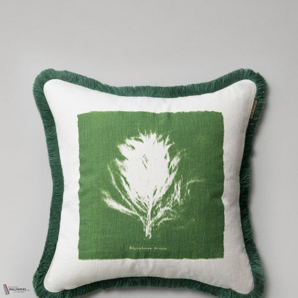 Algae II Kissen in Green/White von Mind the Gap