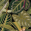 Amazonia papier peint en Multicolor de Mind the Gap
