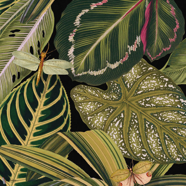 Amazonia papier peint en Multicolor de Mind the Gap