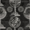 Armillary behang in Black van Mind the Gap