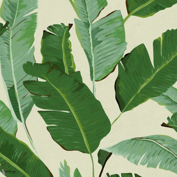 Banana Leaves papel pintado en Multicolor de Mind the Gap