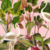 Beverly Hills wallpaper in Roze by Mind the Gap