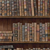 Book Shelves behang in Multicolor van Mind the Gap
