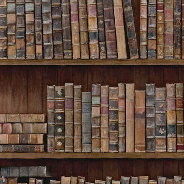Book Shelves behang in Multicolor van Mind the Gap