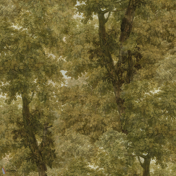Branchy carta da parati in Autumn di Mind the Gap