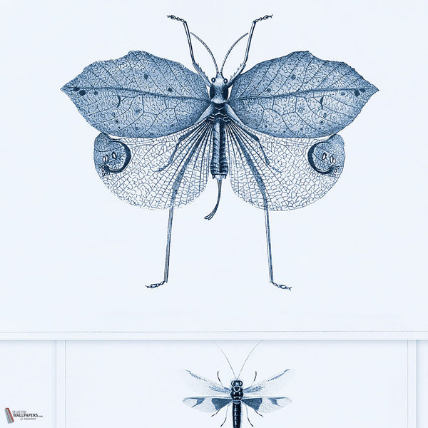 Entomology papier peint en Blauw de Mind the Gap