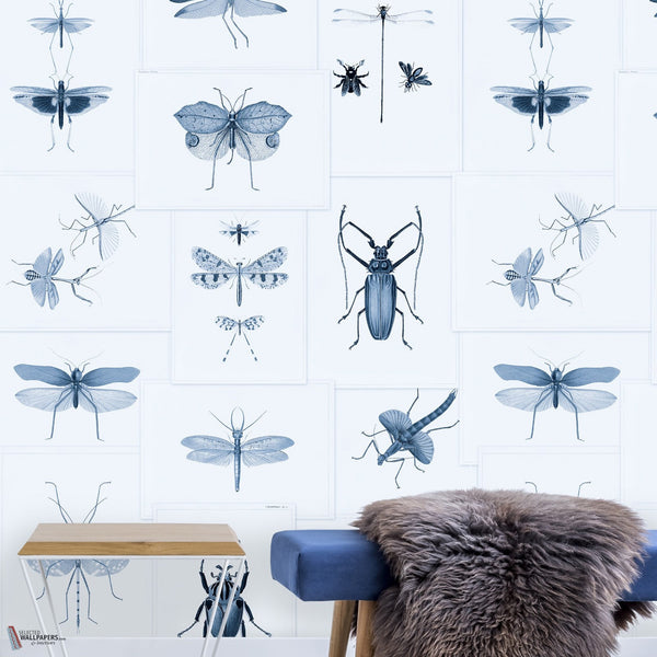 Entomology papier peint de Mind the Gap — intérieur