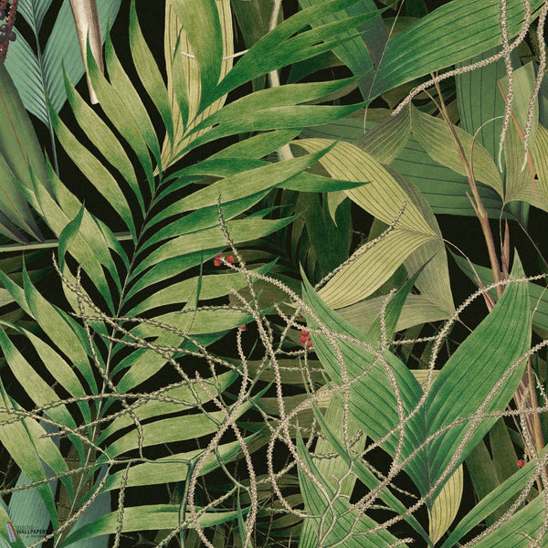 Exotic Garden behang in Groen van Mind the Gap