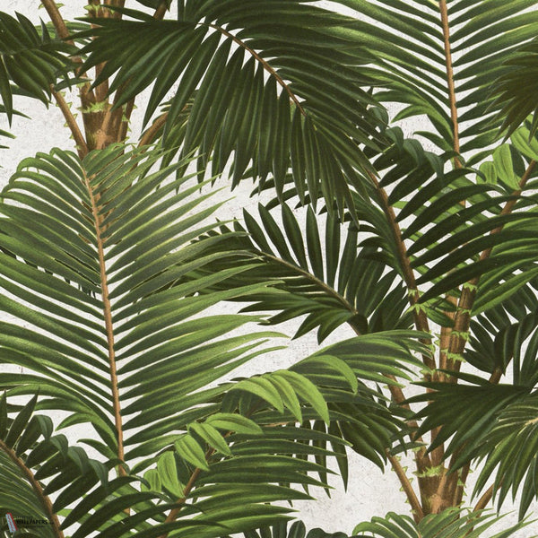 Jardin Tropical papel pintado en Multicolor de Mind the Gap