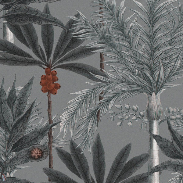 Madagascar papel pintado en Grey de Mind the Gap