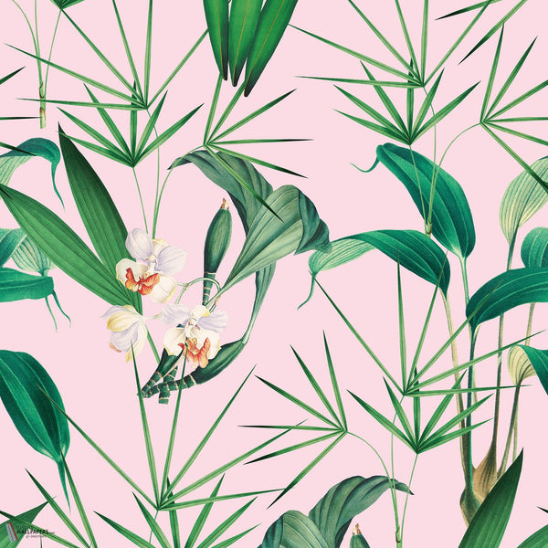 Palm Springs carta da parati in Roze di Mind the Gap