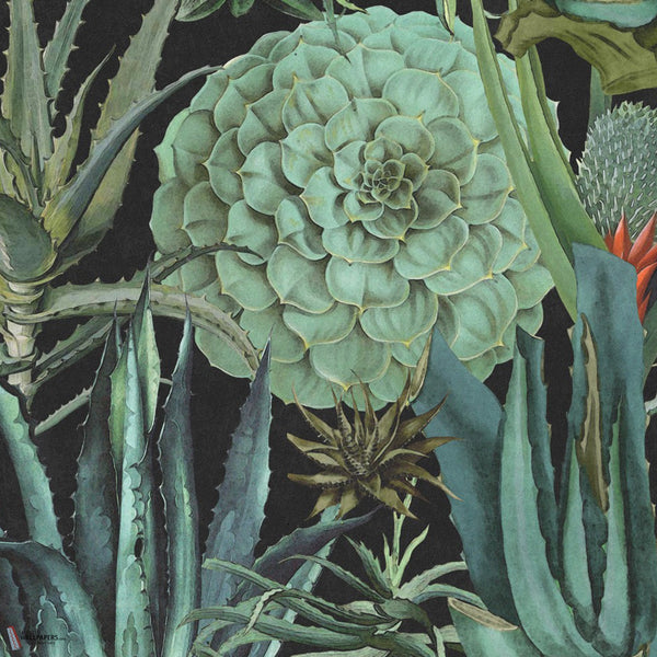 Succulentus papel pintado en Anthracite de Mind the Gap