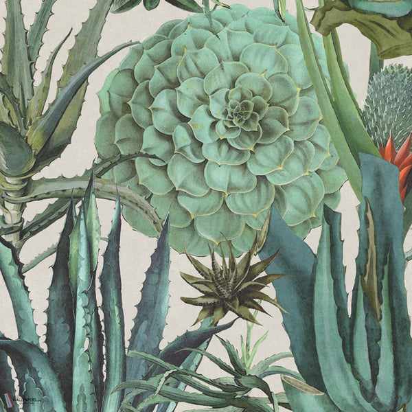 Succulentus papel pintado en White de Mind the Gap