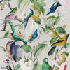 Tropical Birds Tapete in Multicolor von Mind the Gap