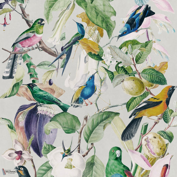 Tropical Birds Tapete in Multicolor von Mind the Gap