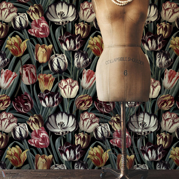 Tulipa papier peint de Mind the Gap — intérieur