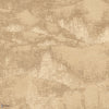 Bain de Vénus Wall wallpaper in Sable by Misia