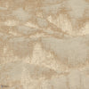 Bain de Vénus Wall wallpaper in Étain by Misia