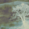 Mist wallpaper in Green van Texam
