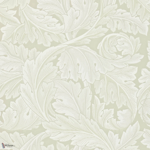 Acanthus papel pintado en Chalk de Morris & Co