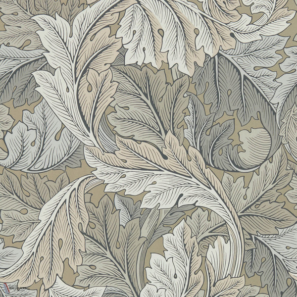 Acanthus papel pintado en Manilla/Stone de Morris & Co