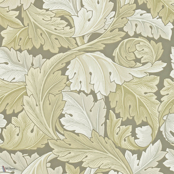 Acanthus papel pintado en Stone de Morris & Co