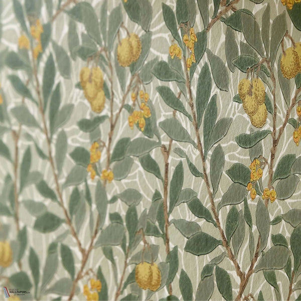 Arbutus Tapete in Sage/Lemon von Morris & Co