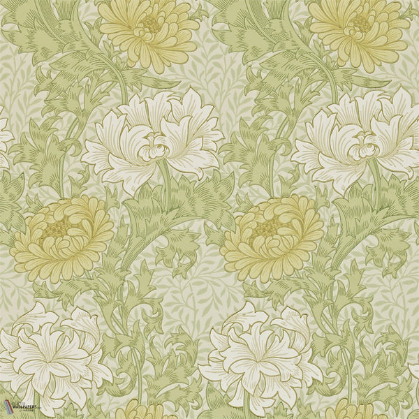 Chrysanthemum wallpaper in Pale Olive by Morris & Co