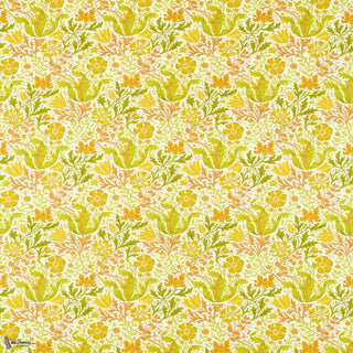 Compton Summer Yellow