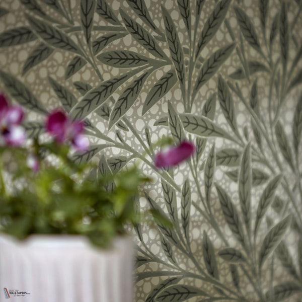 Emery's Willow behang in Herball van Morris & Co