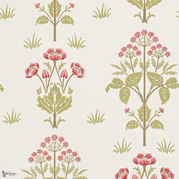 Meadow Sweet behang in Rose/Olive van Morris & Co