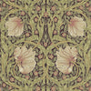 Pimpernel papier peint en Bullrush/Russet de Morris & Co