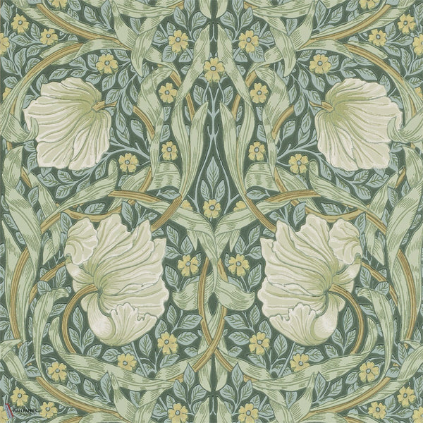 Pimpernel papier peint en Privet/Slate de Morris & Co