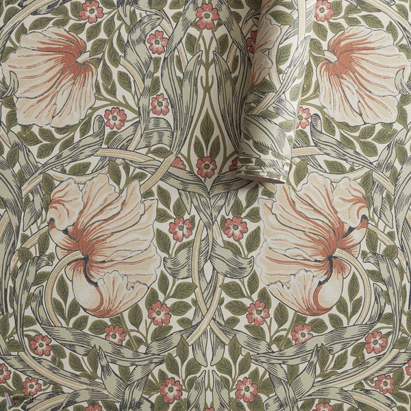 Pimpernel papier peint en Rose Cockle/Sage de Morris & Co