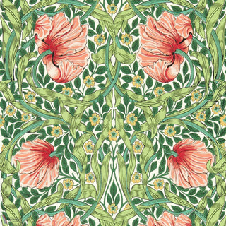 Pimpernel Shamrock/Watermelon