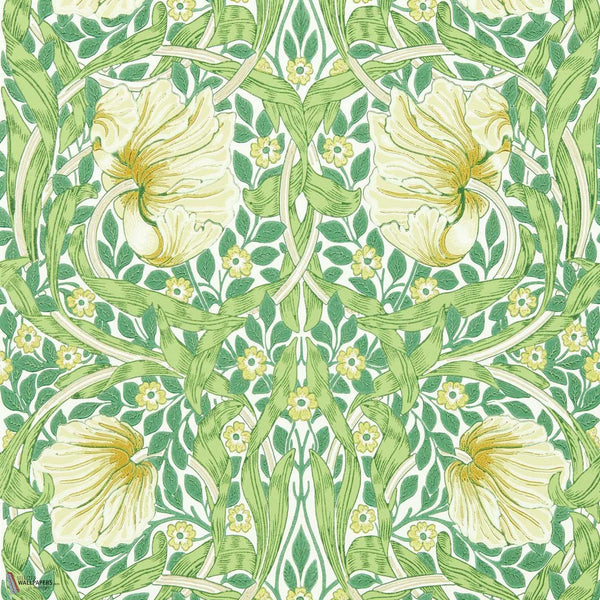 Pimpernel papier peint en Weld/Leaf Green de Morris & Co