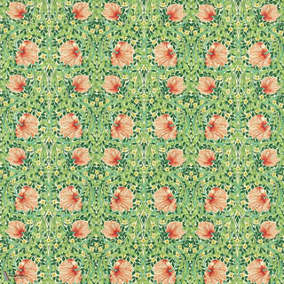 Pimpernel Shamrock/Watermelon
