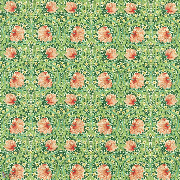 Pimpernel fabric in Shamrock/Watermelon by Morris & Co