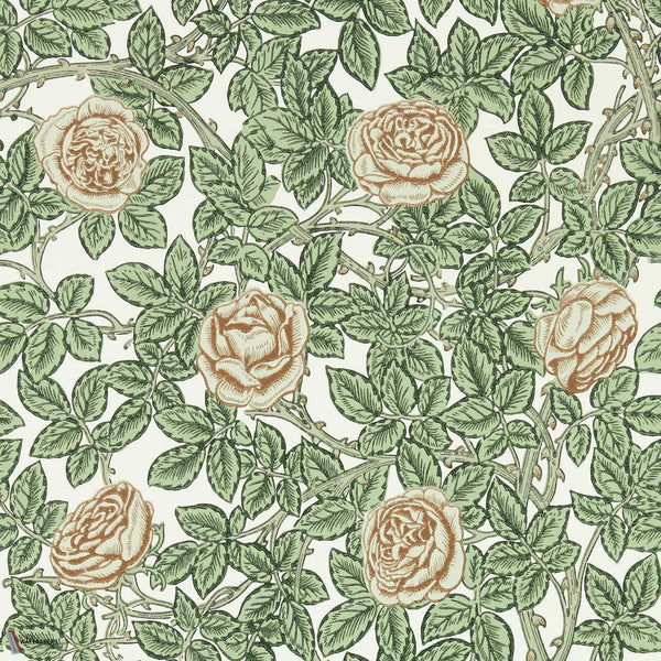Rambling Rose wallpaper in Arbour/Pearwood by Morris & Co