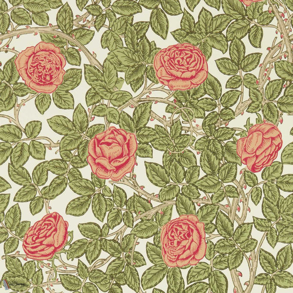 Rambling Rose wallpaper in Twining Vine by Morris & Co