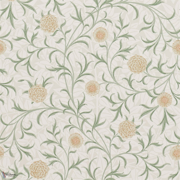 Scroll behang in Thyme/Pear van Morris & Co